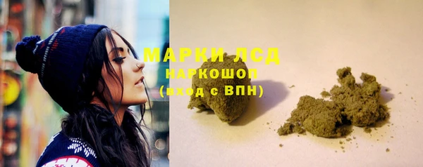 ешки Корсаков